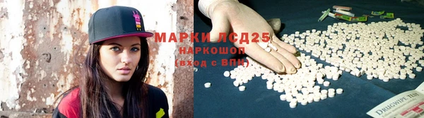 стаф Медвежьегорск