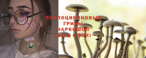 стафф Алексин