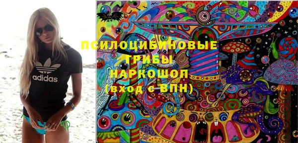стафф Алексин