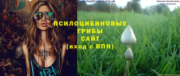 apvp Алзамай