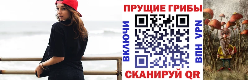 МЕГА сайт  Лиски  darknet телеграм  Псилоцибиновые грибы Cubensis 
